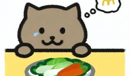 胖猫姐姐直播爆料视频,独家爆料视频内容大汇总